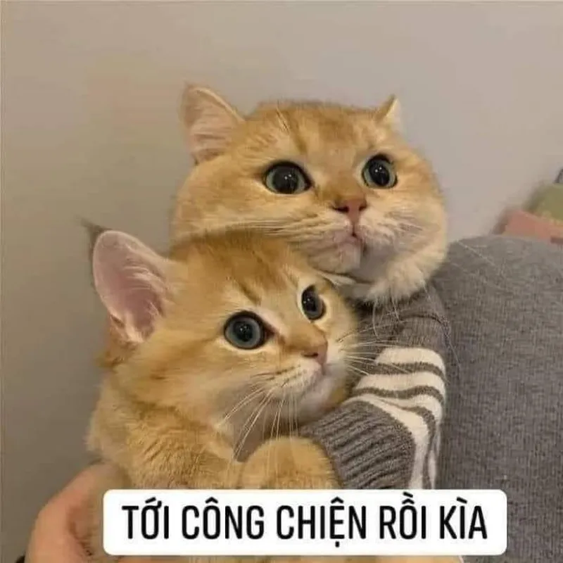 Meme anh da đen ôm đầu hoảng hốt mang đến sự hài hước độc đáo