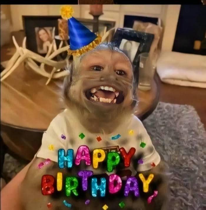 Funny happy birthday meme mang đến những tiếng cười sảng khoái