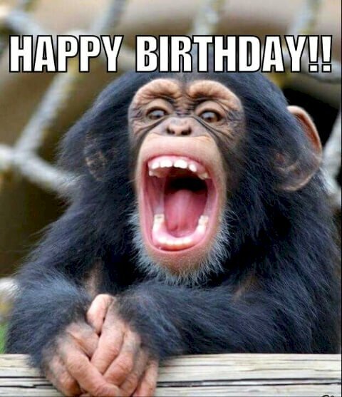 Happy birthday gif meme luôn tạo ra những khoảnh khắc vui vẻ