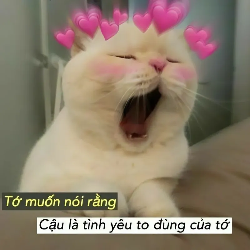 Meme yêu anh này sẽ khiến bạn mỉm cười mỗi khi nghĩ về người ấy