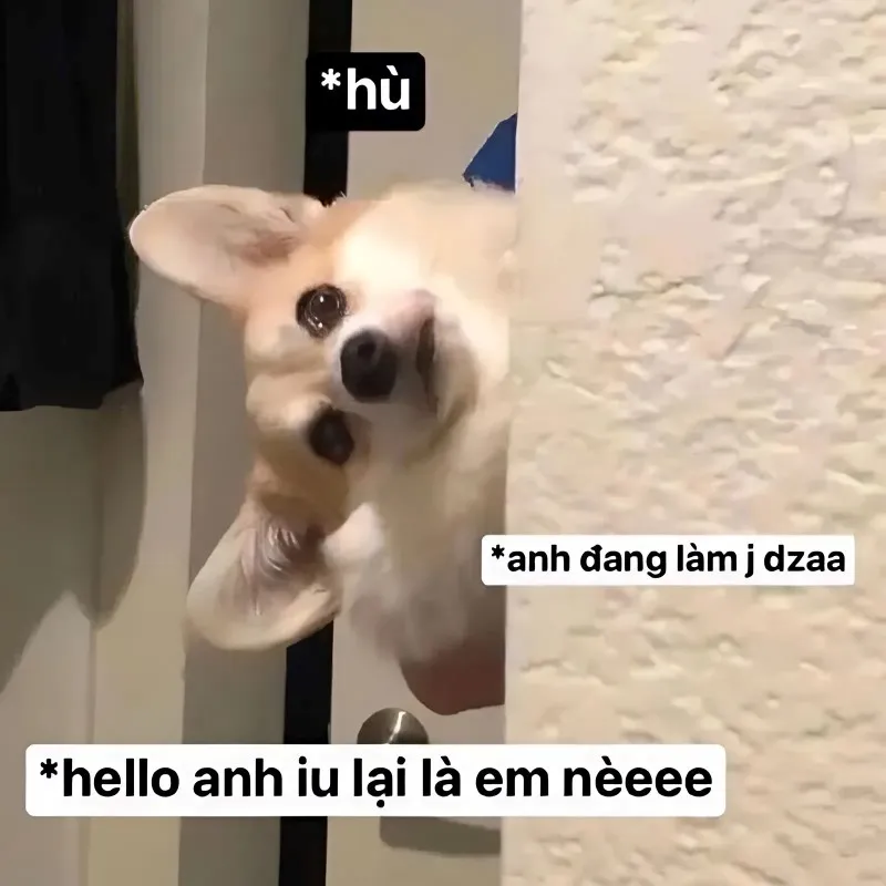 Meme yêu cậu dễ thương này chắc chắn sẽ làm bạn thổn thức