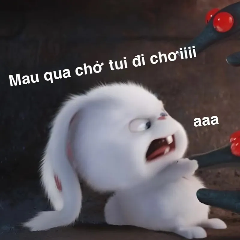 Meme tình yêu vũ trụ này thể hiện tình yêu vô cùng rộng lớn và bao la