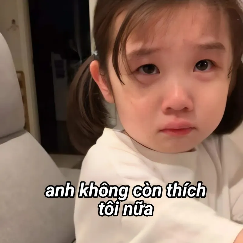 Meme buồn khóc này giúp bạn thể hiện nỗi buồn và chia sẻ cảm xúc với người thân yêu