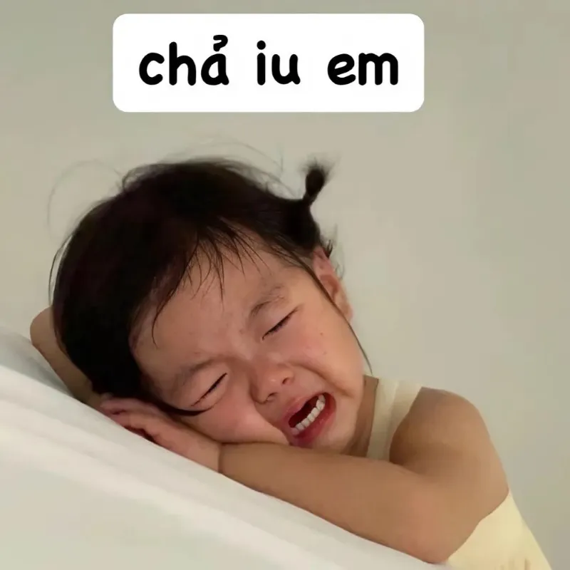 Meme mèo buồn này sẽ khiến bạn cảm thấy đồng cảm