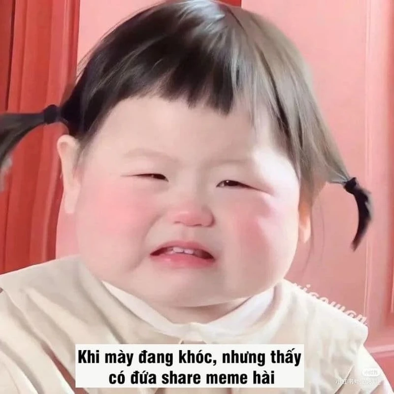 Meme không thấy vui trong lòng sẽ giúp bạn tìm lại niềm vui nhanh chóng