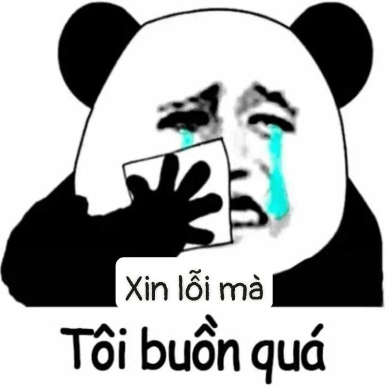 Meme mèo xin lỗi người yêu chắc chắn sẽ làm người ấy không thể giận lâu