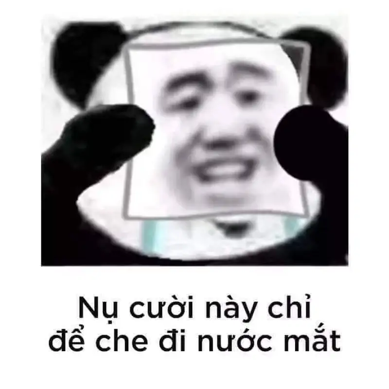 Meme buồn khóc mang lại cảm xúc sâu lắng cho người xem