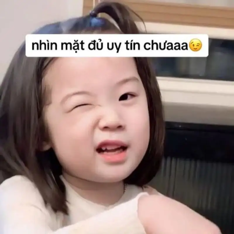 Cute meme hài giúp bạn thư giãn và cười thoải mái