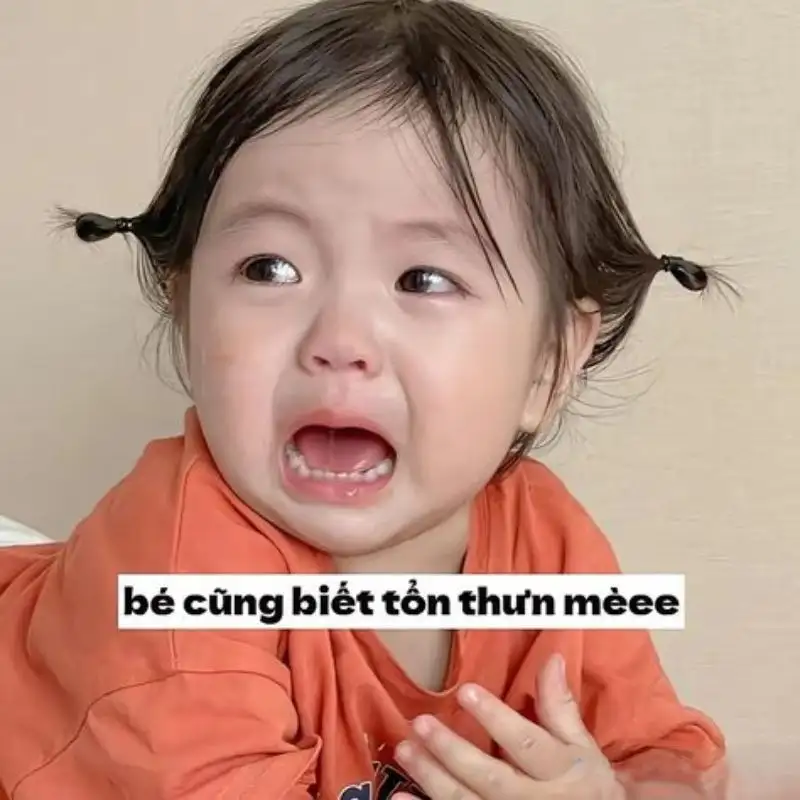 Meme ngủ ngon cute giúp bạn gửi lời chúc dễ thương