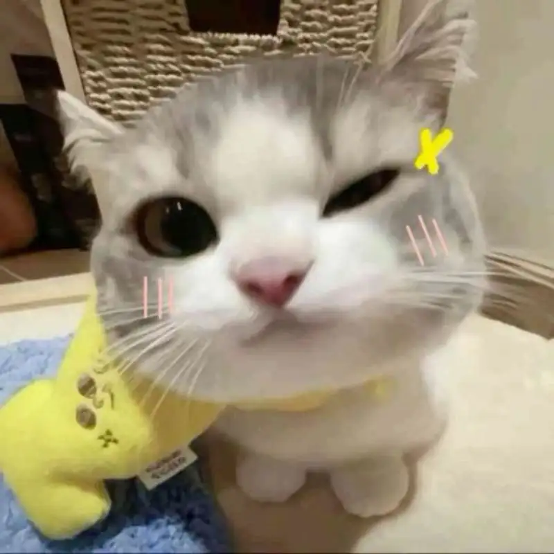 Meme giận dỗi cute khiến bạn không thể nhịn cười