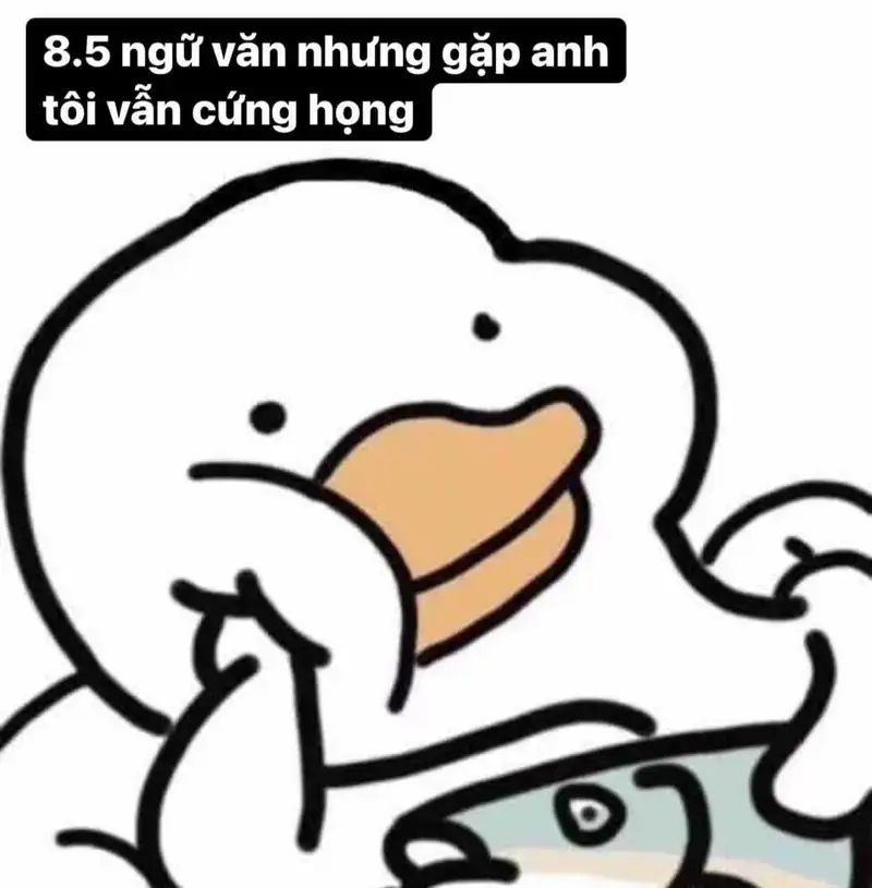 Hình ảnh meme cute mang lại niềm vui cho ngày mới