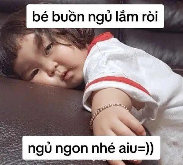 Meme ngủ quên siêu hài hước giúp bạn thư giãn trước khi đi ngủ