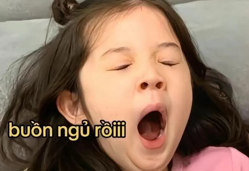 Meme mèo ngủ dậy đáng yêu sẽ giúp bạn bắt đầu một ngày mới với nụ cười